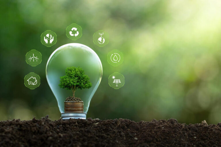 Negócio sustentável: o que é e ideias de sucesso Negócio sustentável: o que é e ideias de sucesso