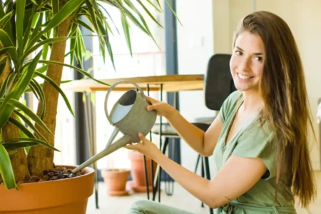 Plantas para escritório: Quais são as 10 melhores? Plantas para escritório