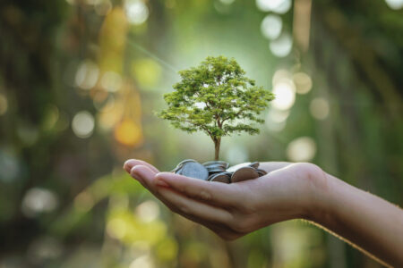 Maximização de Lucros vs. Sustentabilidade: O Equilíbrio Maximização de Lucros vs. Sustentabilidade: O Equilíbrio